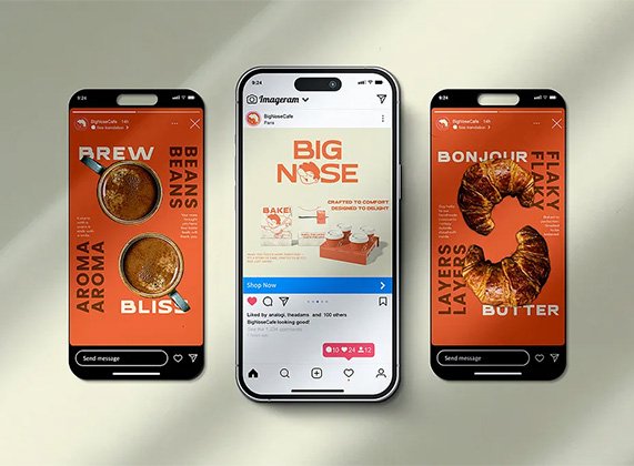 Project Preview