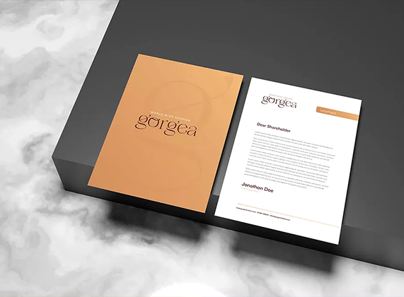 Project Preview